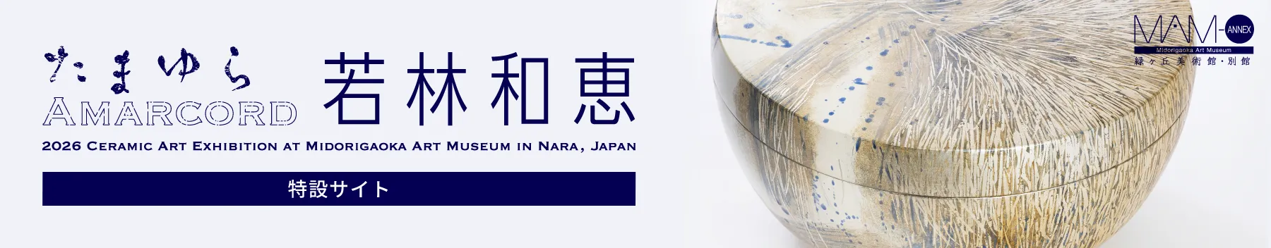 「たまゆら - Amarcord -」若林和恵［特設サイト］